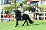 SBM_51977