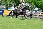 SBM_08030