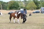 WJ6_5984