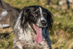 Dunnerdale-1074