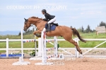 BPP_2536
