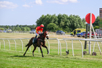 080726-Race 5-Sugarpiehoneybunch-7568