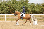 SBM_004682