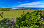 Calf of Man from Cregneash