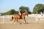 SBM_02220