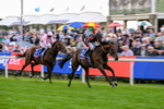 190826-Race 3-Maltese Cross-1071