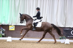 SBM_008998