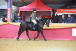 SBM_09603