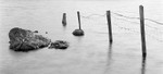 1239 - Rocks  Fence Posts 2