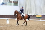 SBM_001166
