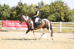 SBM_009408