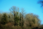 18th March The Clump
