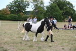 WJ6_5720