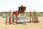 SBM_006653