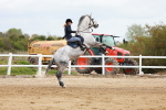 SBM_002530