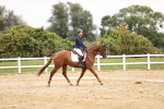 SBM_002773