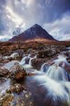 Stob Dearg Portrait