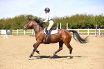 SBM_002302