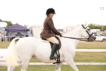 SBM_16459
