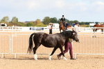 SBM_10928