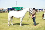 SBM_02534