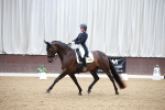 SBM_009729