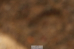 240317A-151704-07572