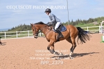 BPP_2379