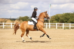 SBM_007073
