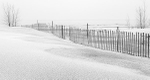 SNOW/SAND FENCES, LONG POINT portfolio