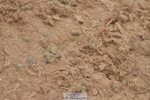 230628A-155110-00957