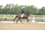 SBM_001004