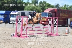 CLASS 8 SAT Springboard 128cm/ 138cm Restricted Handicap portfolio