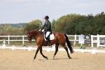 SBM_018711