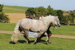 SIAL5949