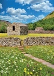 Ref 245 Flower fields and barns
