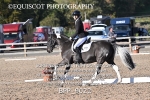 BPP_9022