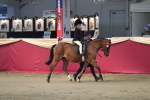 SBM_02097