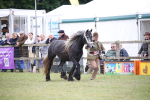 SBM_09792