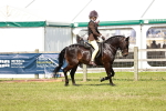 SBM_17681