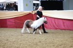 SBM_17320
