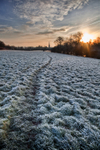 Frosty Path