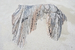 Uig Sands Rock 1
