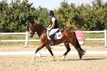 SBM_006793