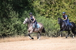WJ6_8683