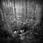 Black and white portfolio