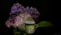 Photo Montages portfolio