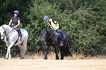WJ6_9112