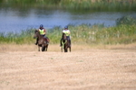 WJ6_8540