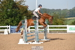 British Novice & 90cm Open portfolio